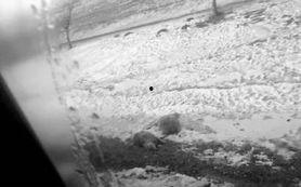 长春白城最新爆料