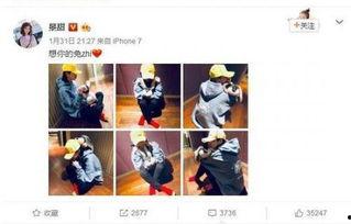 新瓜最新爆料景甜微博,揭秘背后惊人真相